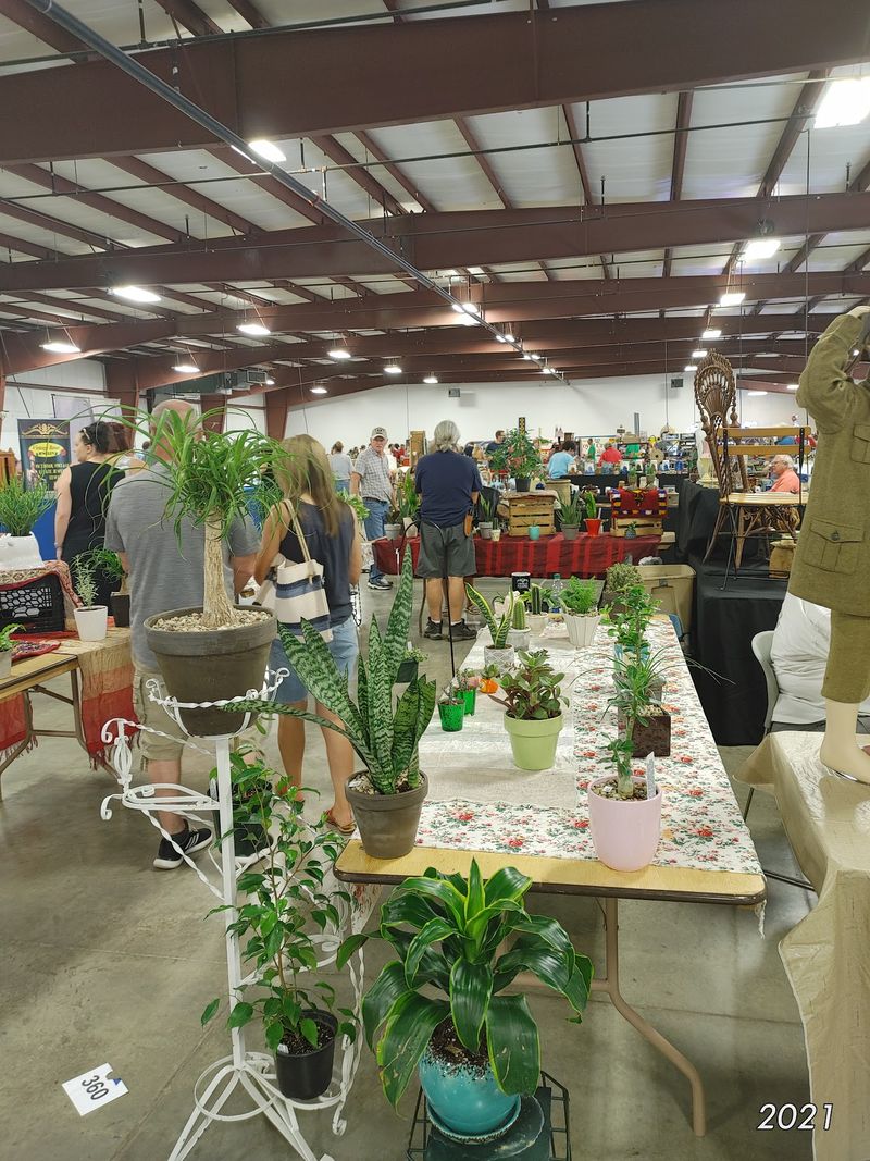 Third Sunday Market (Bloomington) Third Sunday Market (Bloomington)