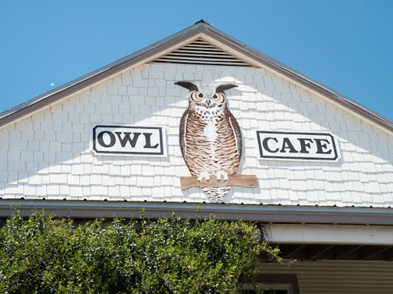 Owl Cafe — Apalachicola, Florida
