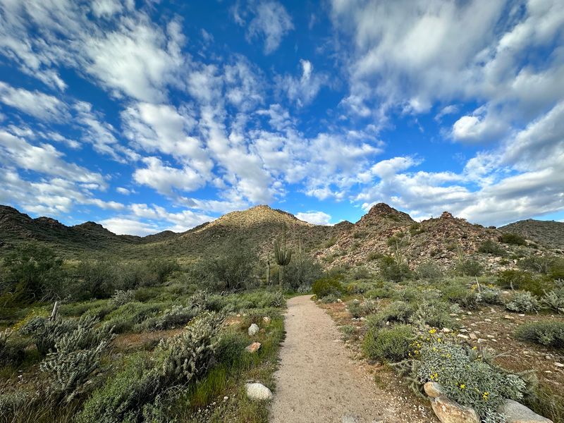 Thirteen Trails For When One Easy Hike Isn't Enough