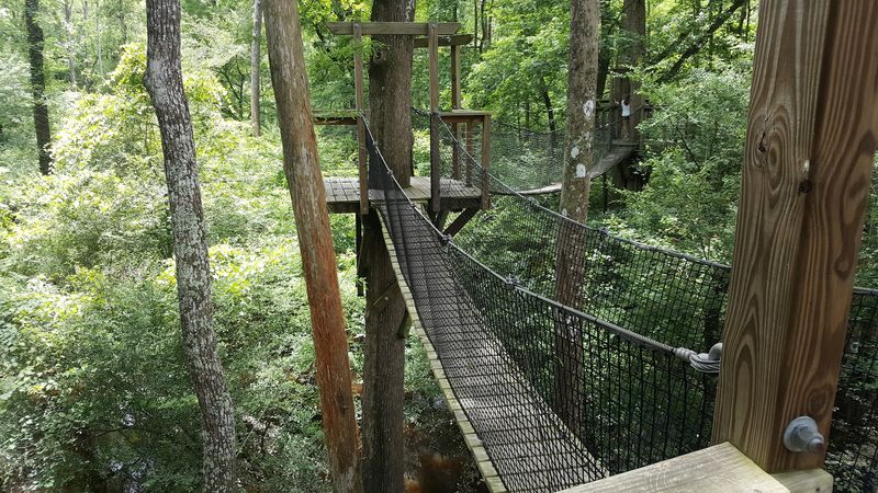 Thirty Feet Up And Grinning: The Canopy Walk