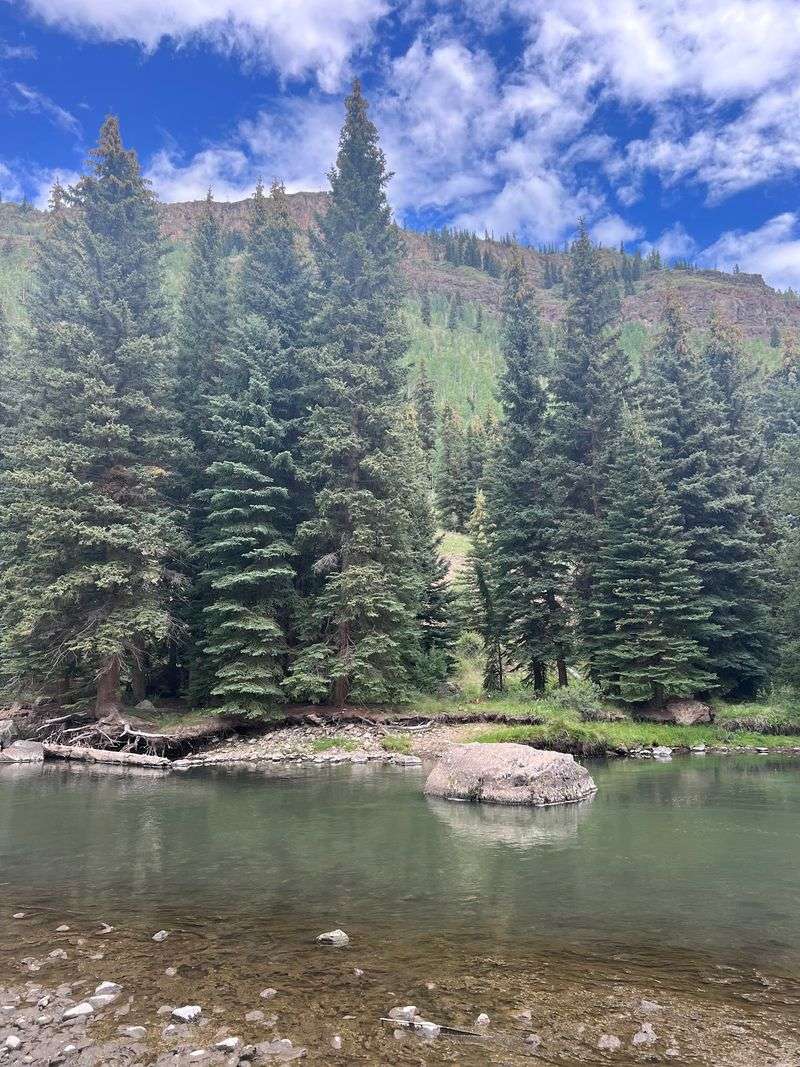 Thirty Mile Campground - Near Creede