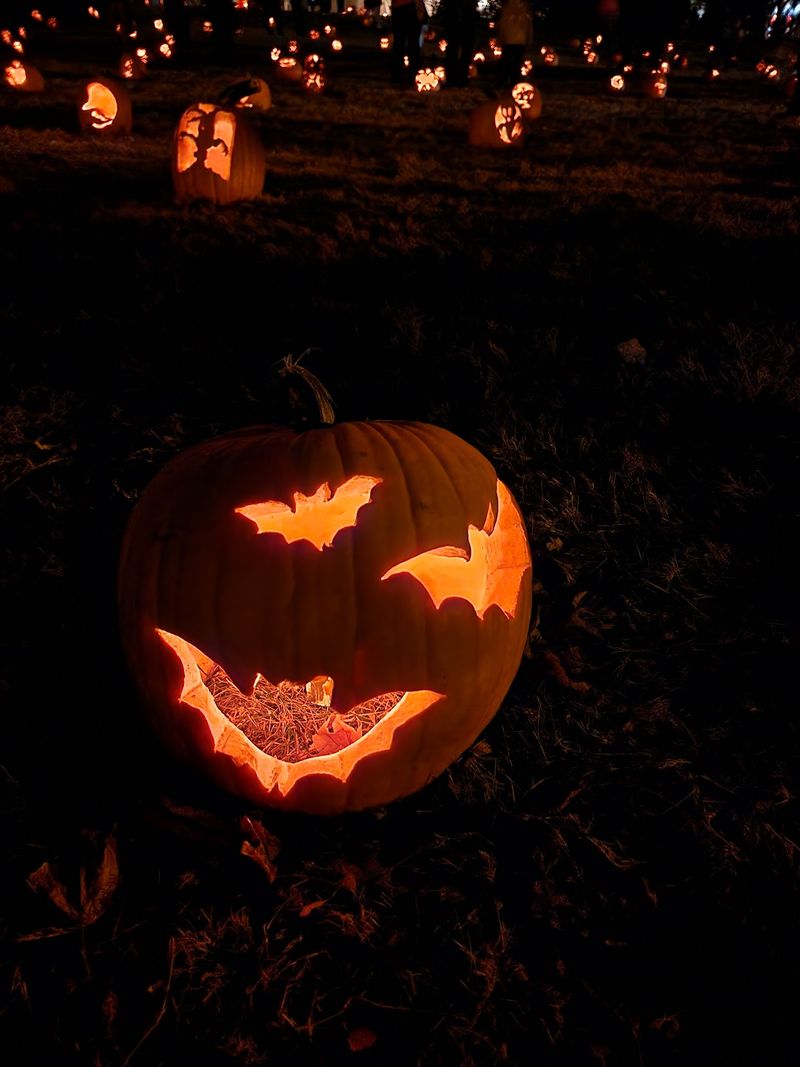 Thirty Pumpkins Started A Legend Thirty Pumpkins Started A Legend