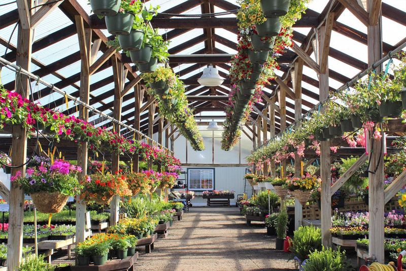 Thirty-Two Greenhouses To Wander Thirty-Two Greenhouses To Wander