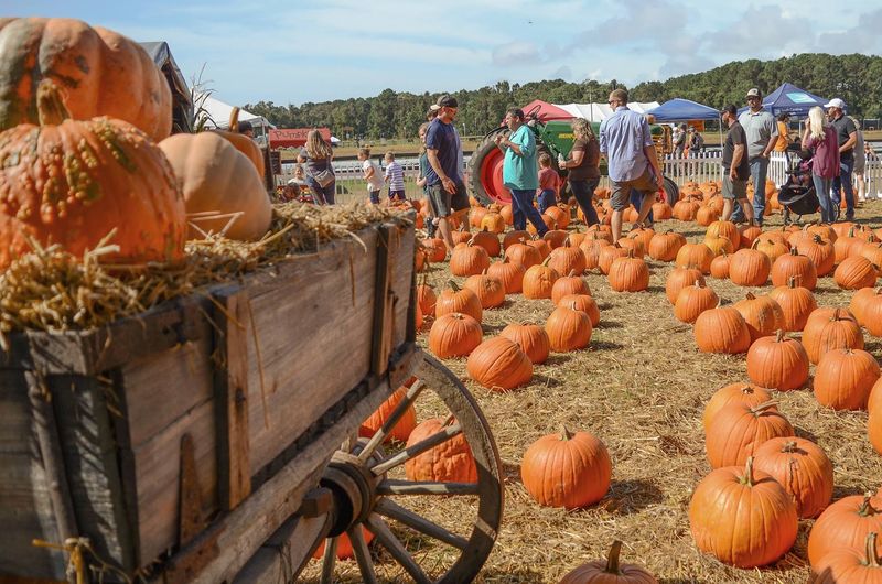 Thirty Years Of Fall Fun Started On One Very Old Farm