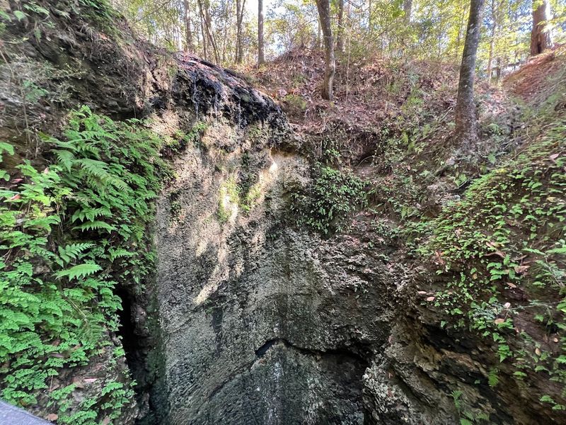 Florida's Deepest Waterfall Drops Into A Limestone Sinkhole