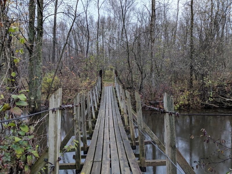 Roots, River, And a One Mile Loop