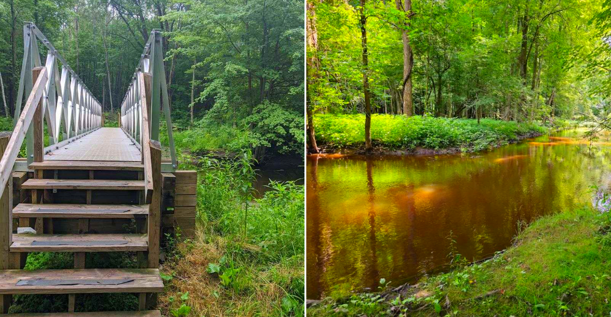 Sanilac Petroglyphs Historic State Park