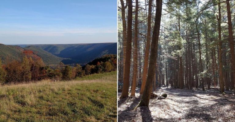 This 100 Mile Pennsylvania Drive Is One Of The Most Relaxing Free Adventures In The State