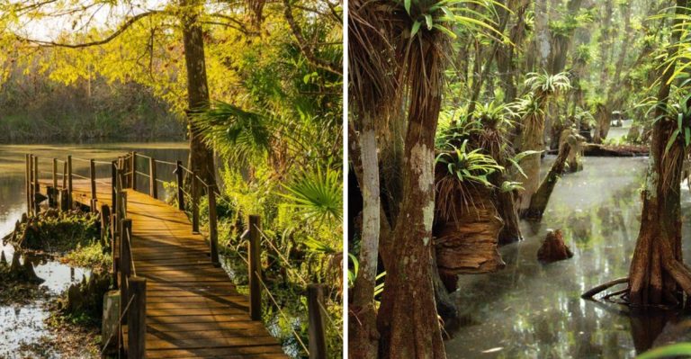 This 12,000-Acre Florida State Park Is A Hidden Spot Most People Don’t Know About