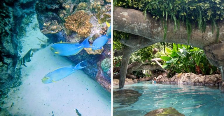 This 15-Acre Florida Waterpark Features The Country’s Largest Man-Made Lagoon