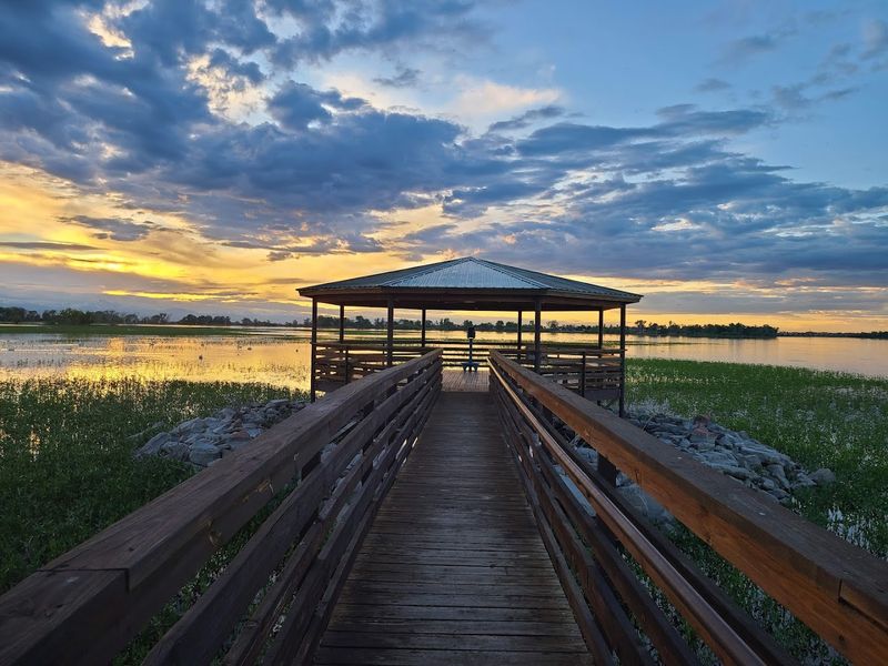 The Bald Eagle Factor: Why Photographers Plan Trips Around This Lake