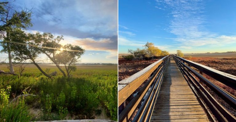 This 1650-Acre Colorado Bird Sanctuary Lures Photographers From Around The World During Nesting Season