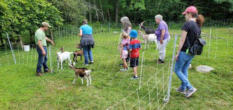 From City Life To Goat Farm