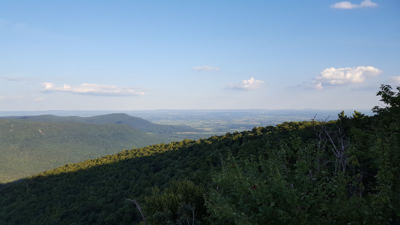 The Forest Covers Far More Than 2,000 Acres