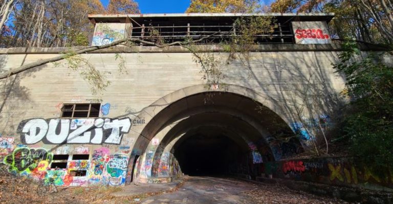 This 2,000-Acre Pennsylvania Forest Is Home To An Abandoned Turnpike You Can Walk Through