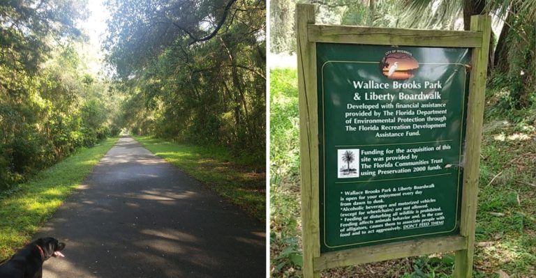 This 22-Mile Florida Bike Trail With Woods, Farmland, And An Ice Cream Stop Is Perfect For May