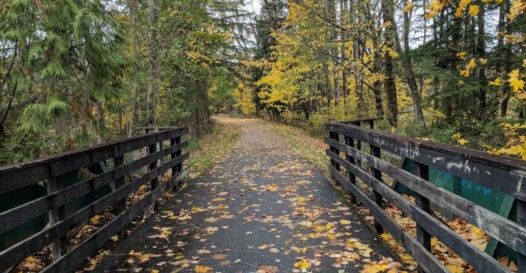 This 22-Mile Washington Bike Trail With Farmland, Forest Views, And A Small-Town Treat Stop Is Perfect For May