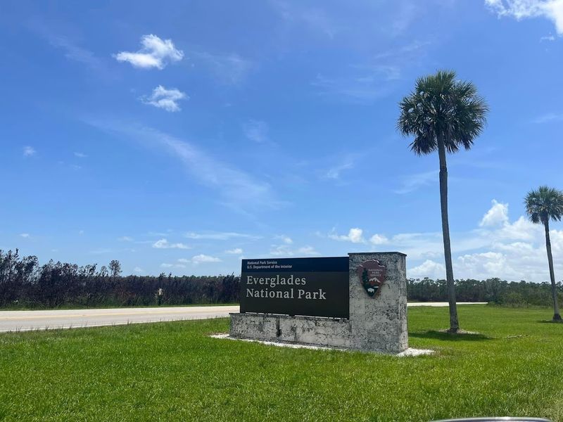 Sawgrass Prairie Views That Stretch Forever