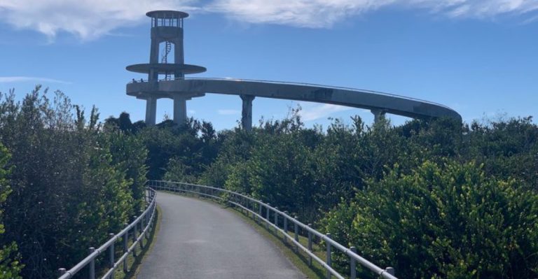 This 24-Mile Everglades Drive Might Be Florida’s Most Underrated Scenic Route