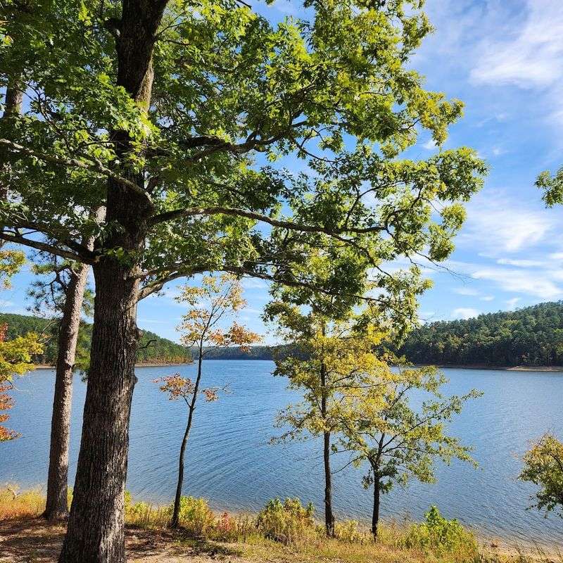Shores Of Lake Greeson