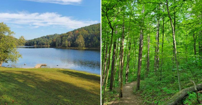 This 2,900-Acre State Park In Ohio Is Still A Mystery To Many People