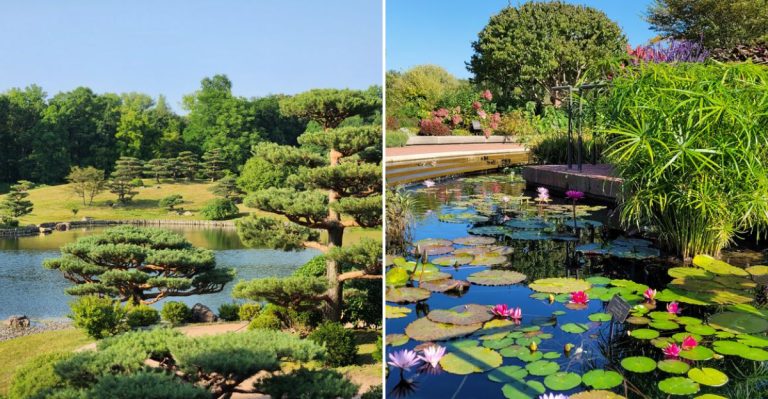 This 385-Acre Illinois Garden Is A Breathtaking Oasis Bursting With Color, Sculpture, And Serenity