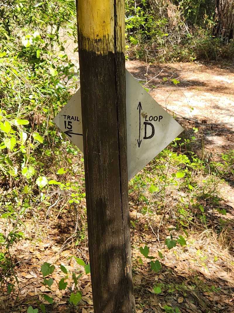 Finding The Hidden Trailhead