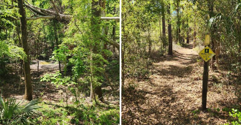 This 4-Mile Trail Is In Florida, But You’d Never Guess It Has Caves, Rock Walls, And A Sinkhole
