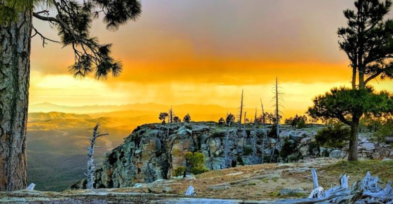 This 43 Mile Drive In Arizona Is A Nature Lover’s Scenic Dream