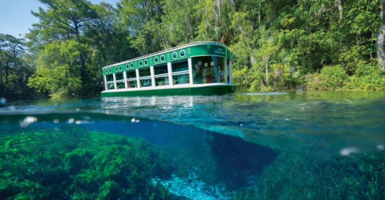 This 5,000-Acre Florida State Park Is Home To The World’s Largest Artesian Spring