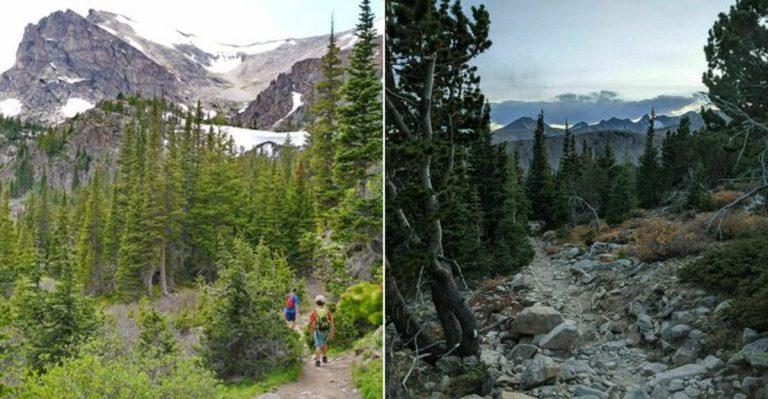 This 7-Mile Colorado Trail Full Of Forest Boardwalks And Wildlife Is An Adventure Worth Taking This February