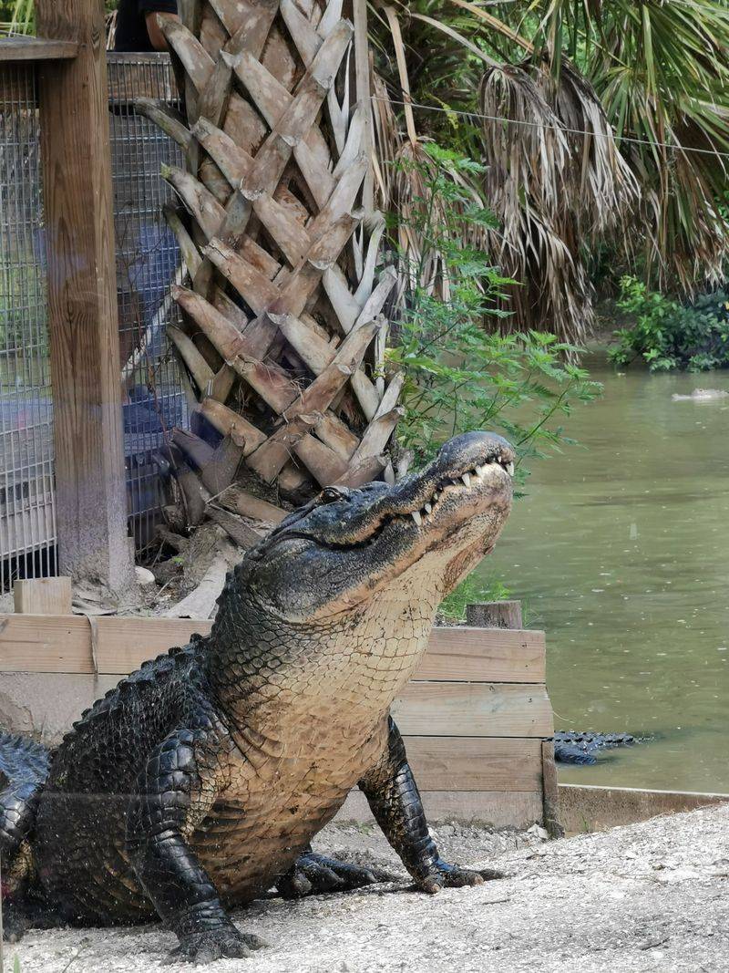 A Hidden Florida Wilderness Just Minutes From the City