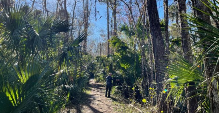 This 7-Mile Florida Trail Full Of Boardwalks And Black Bears Is An Adventure Worth Taking