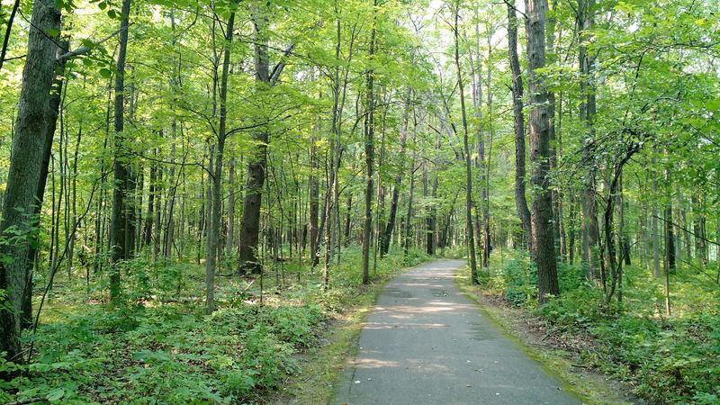 Arrive Early And Secure Your Spot At The Trailhead