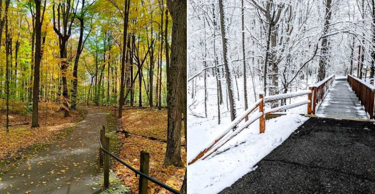 The trails of Independence Oaks County Park