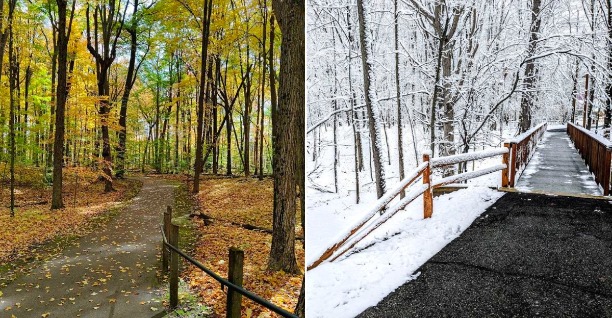 The trails of Independence Oaks County Park