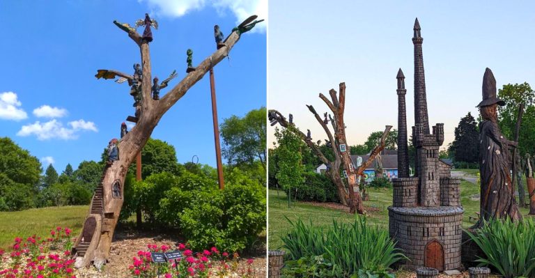 Fantasy Forest at Leila Arboretum