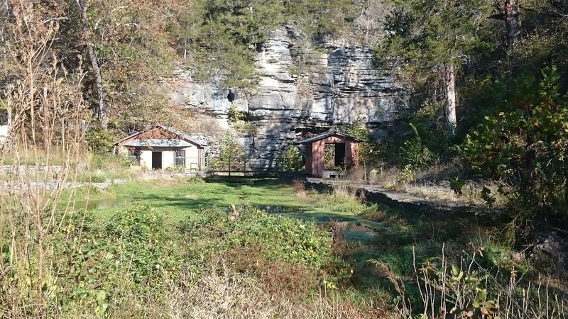 The Day I First Laid Eyes On This Place