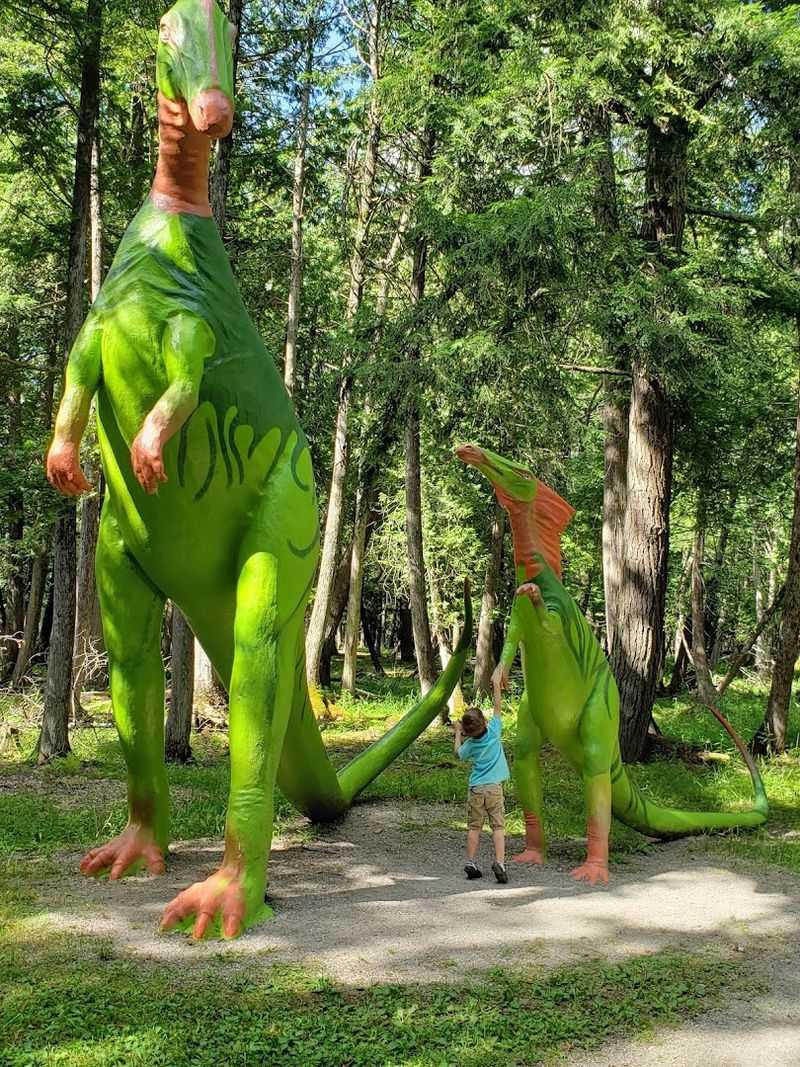 Start With The Trail