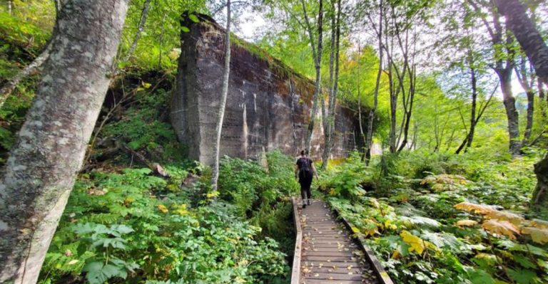 This Abandoned Railroad Hike In Washington Winds Through Mountain History