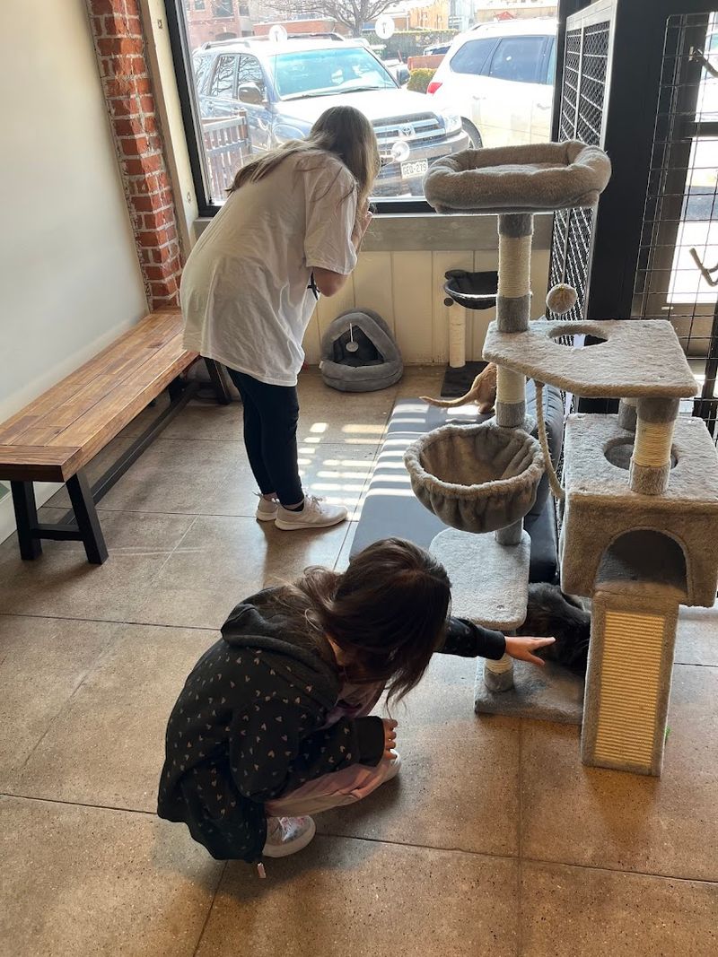 A Rescue Mission Hiding in Plain Sight