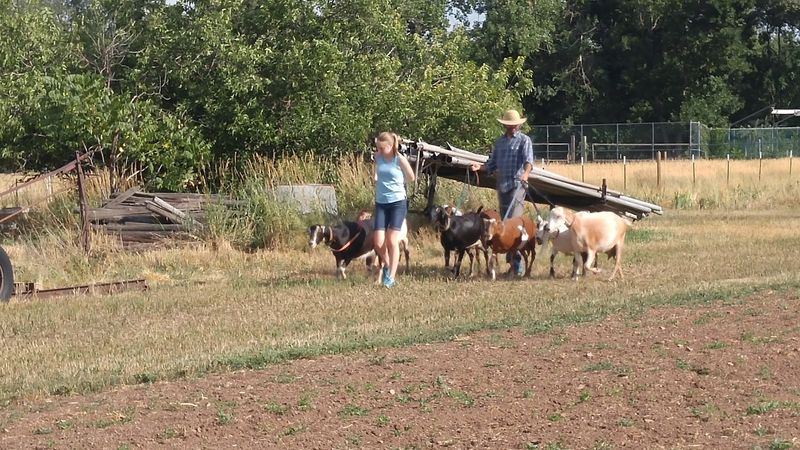 The Farm That Boulder Quietly Claims As Its Own