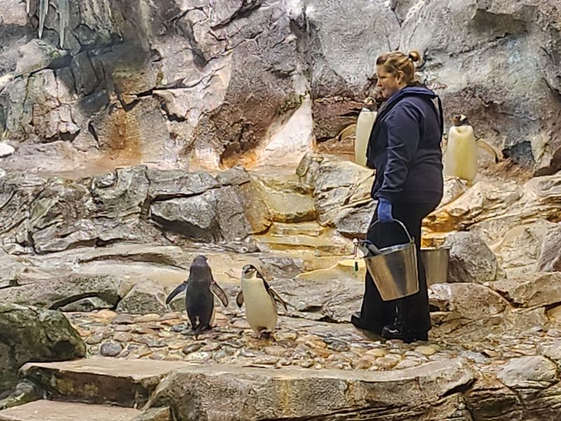 Reserve Your Spot Early