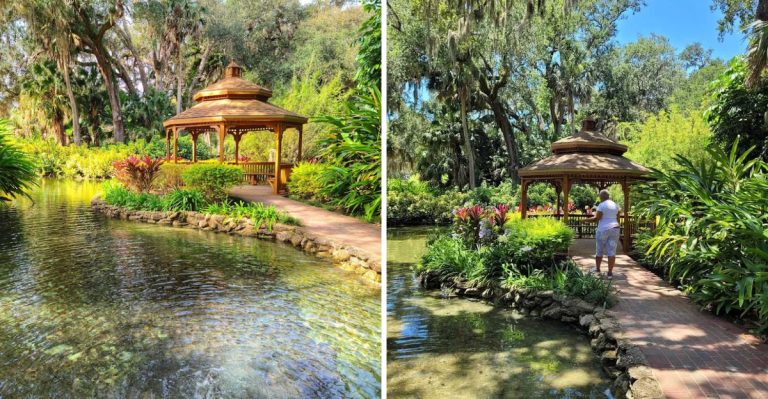 This Affordable Florida Day Trip Feels Like A Mini Vacation For Under $55