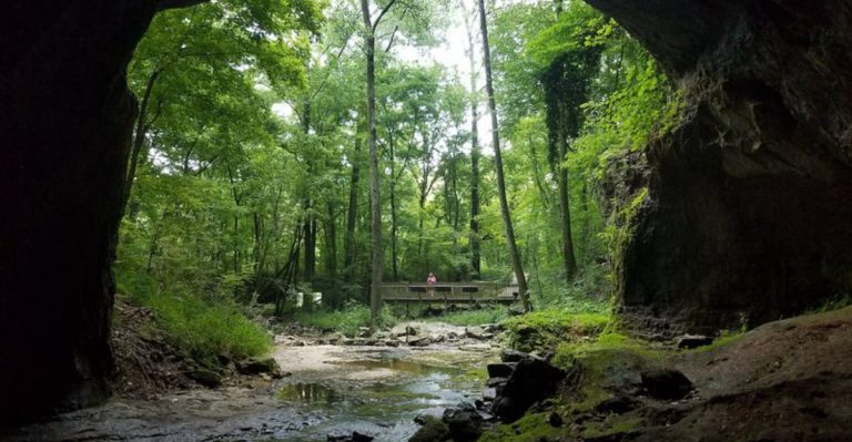 This Alabama Cave Turns Summer Dusk Into A Swirling Bat Spectacle