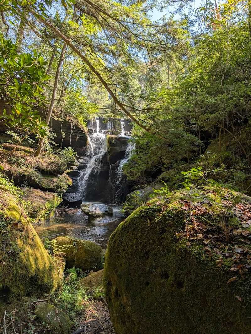 Living Before Your Grandparents Were Born