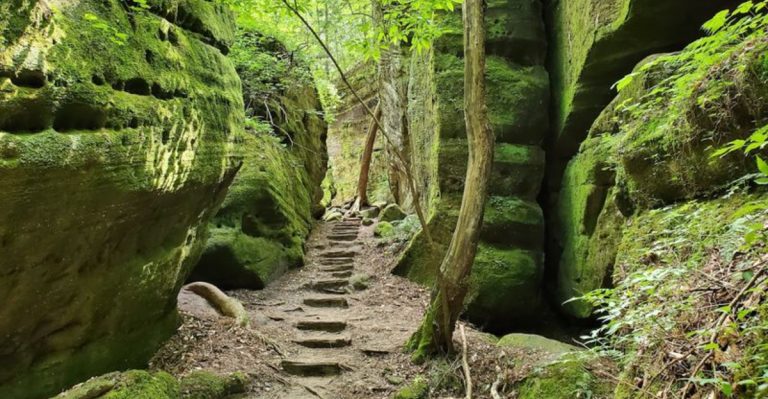 This Alabama Hideaway Lets You Walk Through A Secret Mini Rainforest