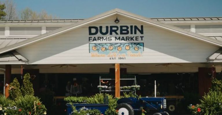 This Alabama Peach Farm Market Turns A Hot Highway Drive Into A Cobbler And Ice Cream Detour