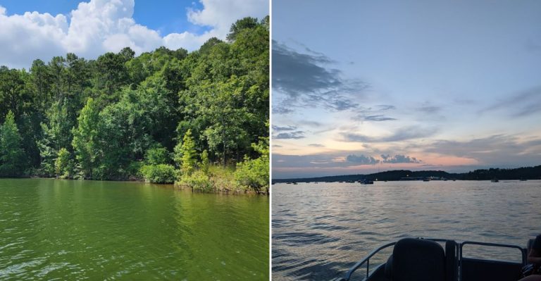 This Amazing Floating Cabin Is Waiting For You On A Stunning Arkansas Lake