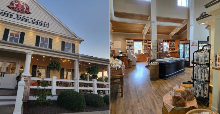 This Amish Country Bakery In Pennsylvania Has Perfected Its Legendary Cheese Tarts